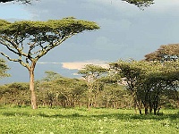 Mud Maps Africa Serengetti NP 2017.JPG